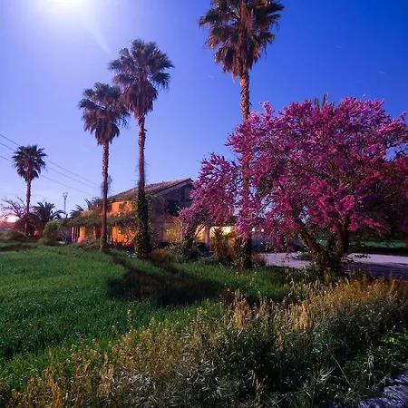 Embat - Montuiri (Mallorca)